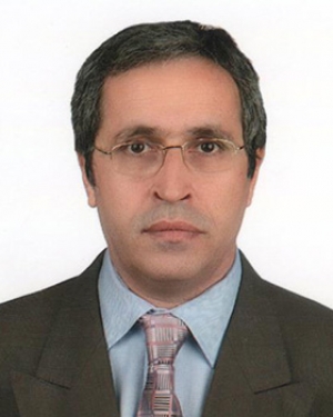 Mehmet MERCAN