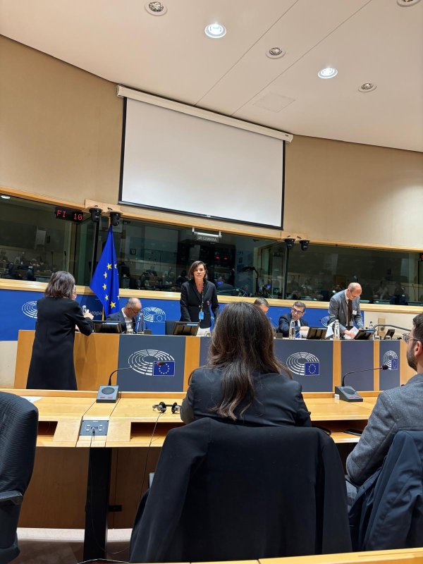 Brüksel'de AB Parlamentosu'nda yapılan 31. EPCF