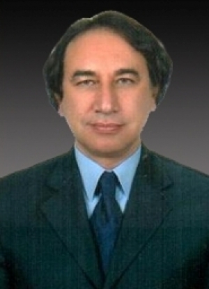 Tolun VURAL